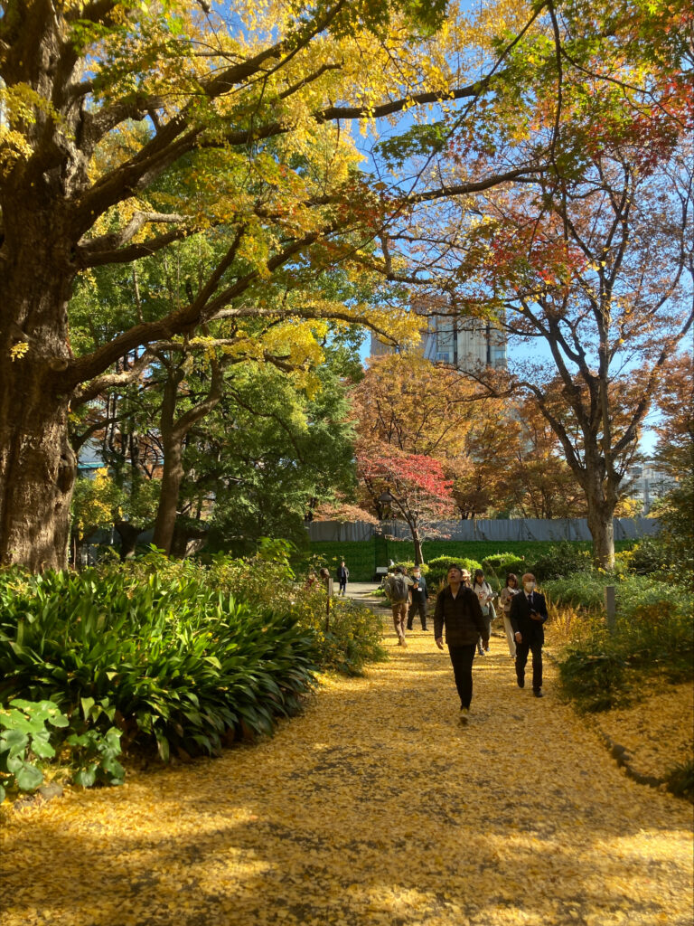 日比谷公園　黄葉